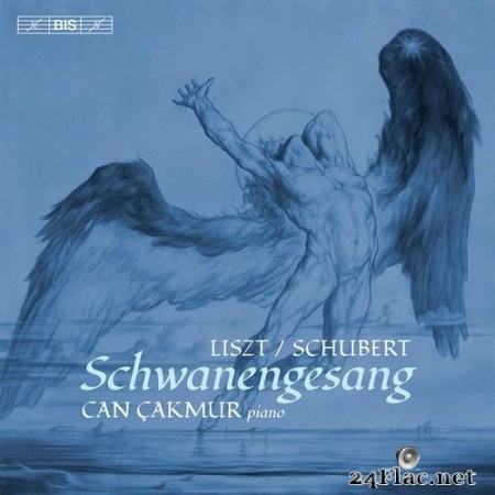 Can Cakmur - Liszt:  Schwanengesang, S. 560 & Valses oubliées, S. 215 (2020) Hi-Res