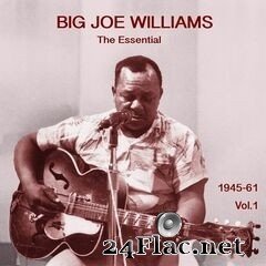 Big Joe Williams - The Essential Big Joe Williams 1945-1961, Vol. 1 (2020) FLAC