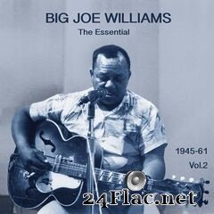 Big Joe Williams - The Essential Big Joe Williams 1945-1961, Vol. 2 (2020) FLAC