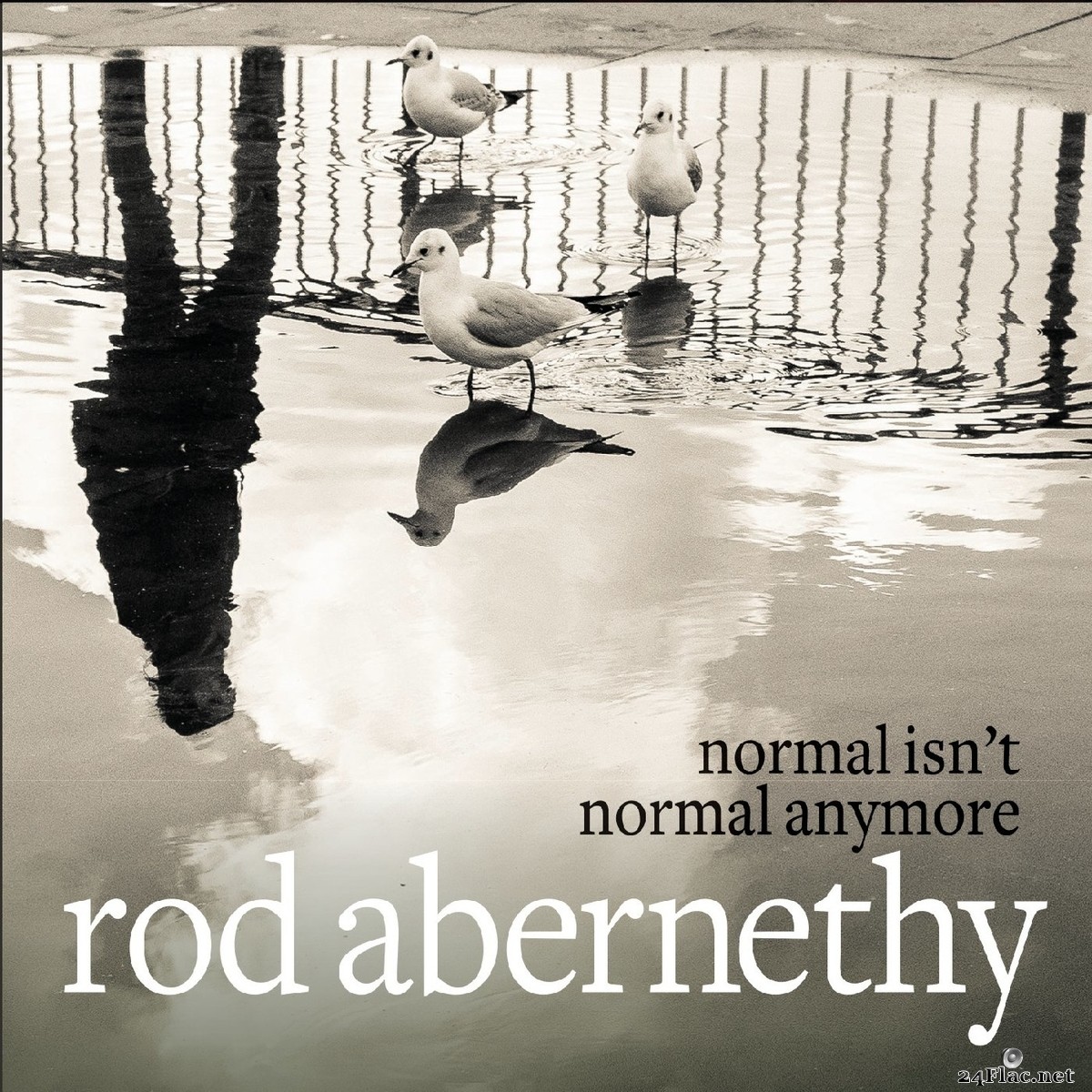 Rod Abernethy - Normal Isn't Normal Anymore (2021) FLAC
