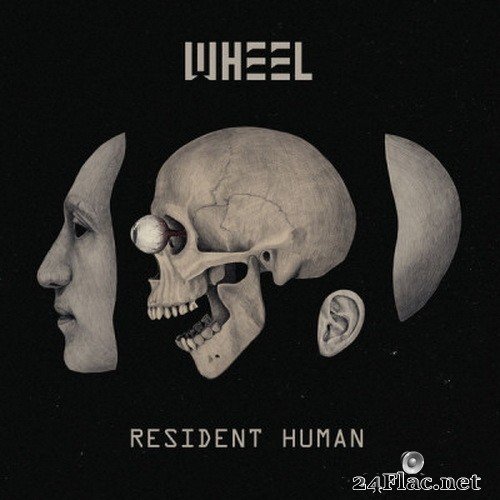 Wheel - Resident Human (2021) Hi-Res