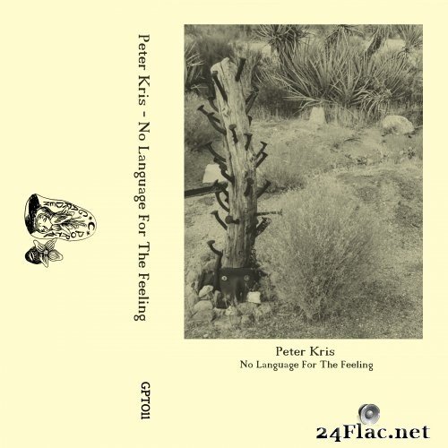 Peter Kris - No Language For The Feeling (2021) Hi-Res