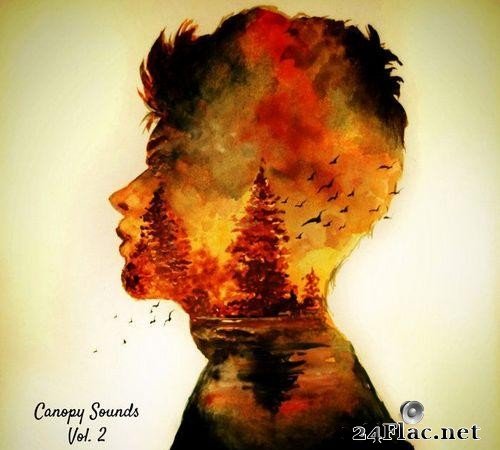 VA - Canopy Sounds Chapter 2 (2021) [FLAC (tracks)]