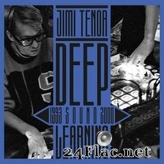 Jimi Tenor - Deep Sound Learning 1993-2000 (2021) FLAC