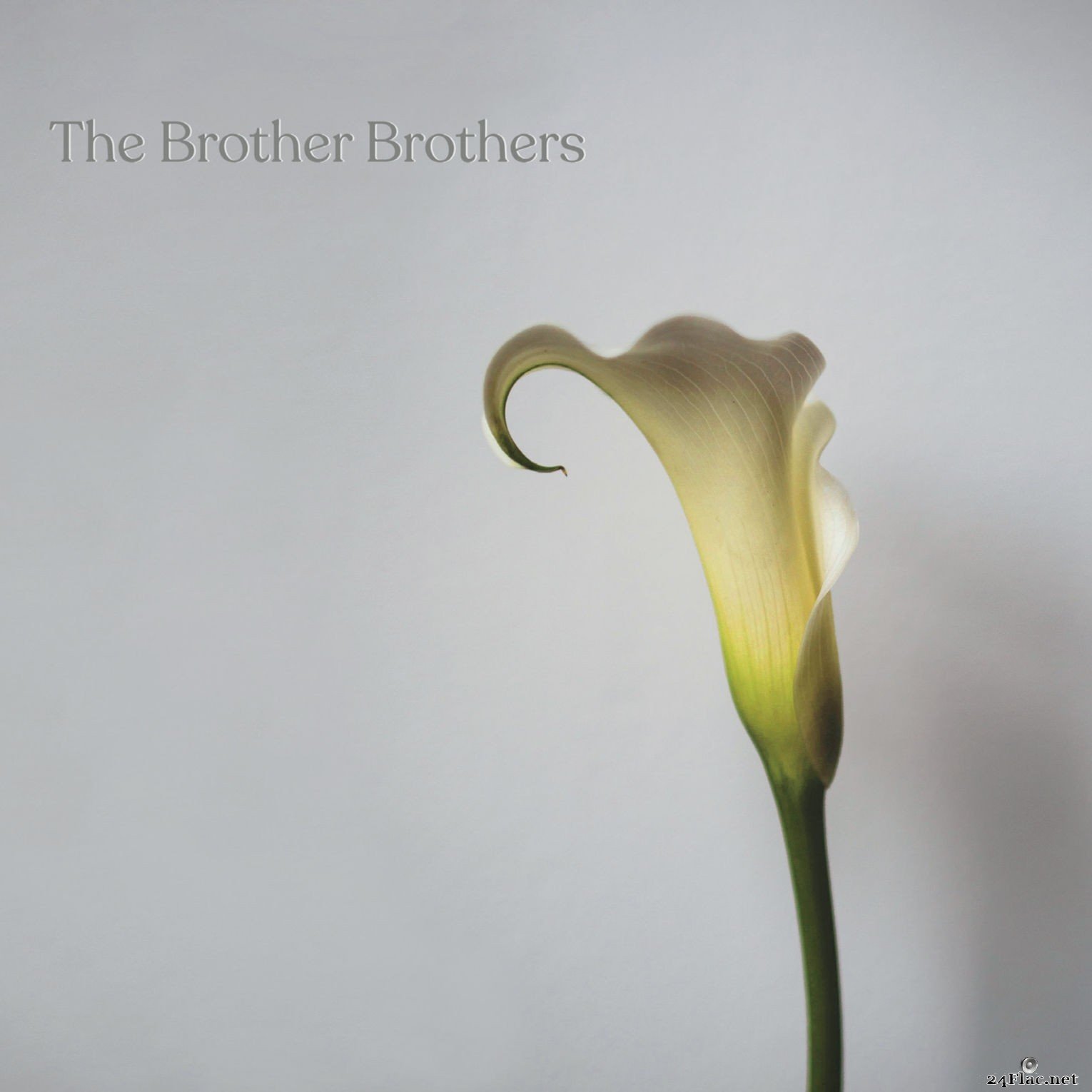 The Brother Brothers - Calla Lily (2021) Hi-Res