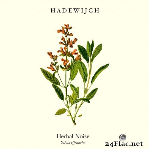 Hadewijch - Herbal Noise (EP) (2020) Hi-Res