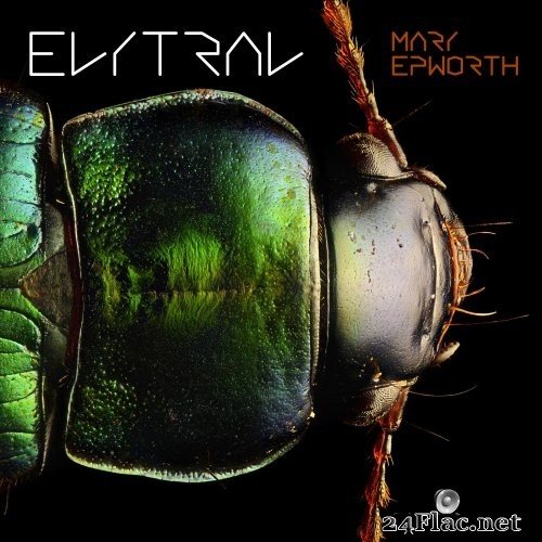 Mary Epworth - Elytral (2017) Hi-Res