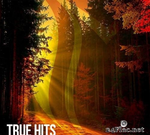 VA - True Hits Vol. 6 (2021) [FLAC (tracks)]