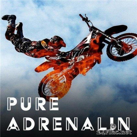 Alan Reed, Keith Morrissey, Lukas Blecks & Moritz Bintig - Pure Adrenalin (2021) Hi-Res