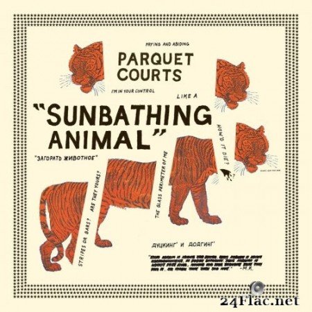 Parquet Courts - Sunbathing Animal (2014) Hi-Res