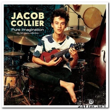 Jacob Collier - Pure Imagination: The Hit Covers Collection (2017) FLAC