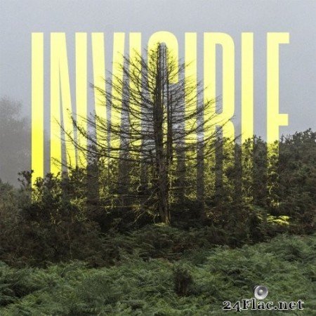 Ólafur Arnalds - The Invisible EP (2021) Hi-Res