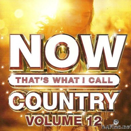 VA - NOW That's What I Call Country Volume 12 (2019) [FLAC (tracks + .cue)]