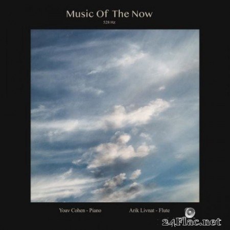 Yoav Cohen, Arik Livnat - Music Of The Now (2021) Hi-Res