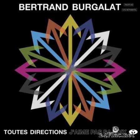 Bertrand Burgalat - Toutes directions - J'aime pas sa voix (Instrumental) (2012) Hi-Res