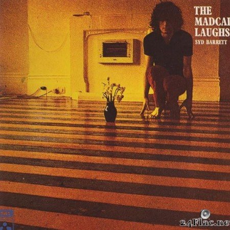 Syd Barrett - The Madcap Laughs (1994) [FLAC (tracks + .cue)]