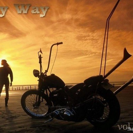 VA - My Way. The Best Collection. Unformatted. vol.14 (2021) [FLAC (tracks)]