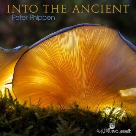 Peter Phippen - Into the Ancient (2022) Hi-Res