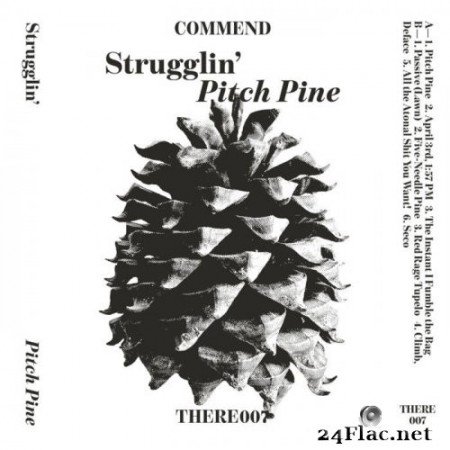 Strugglin' - Pitch Pine (2022) Hi-Res