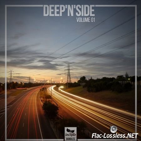 VA - Deep'N'Side Vol. 01 (2014) FLAC (tracks)