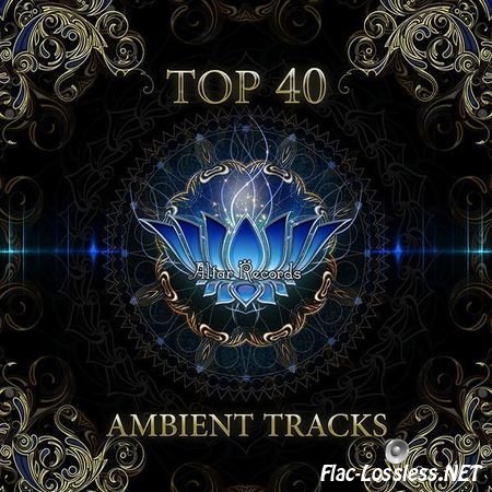 VA - Top 40 Ambient Tracks (2013) FLAC (tracks)