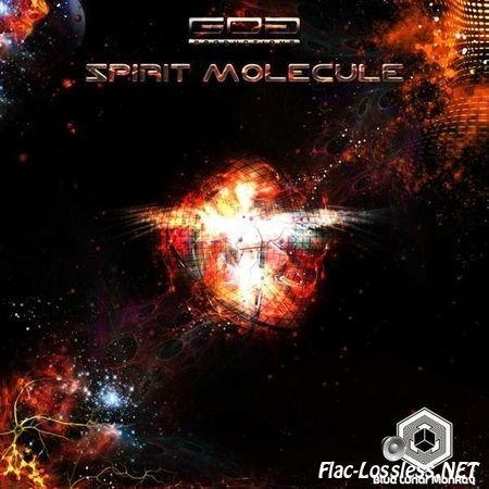 Blue Lunar Monkey - Spirit Molecule (2013) FLAC (tracks)