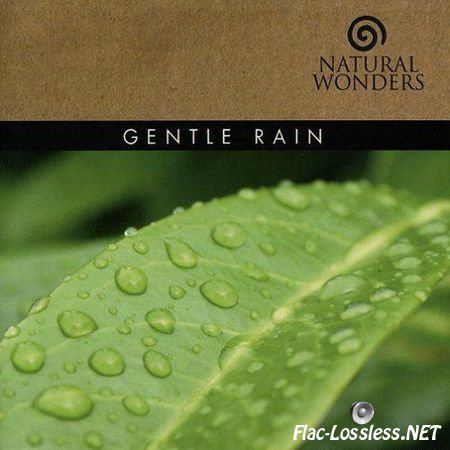 David Arkenstone - Gentle Rain (2008) FLAC (image + .cue)