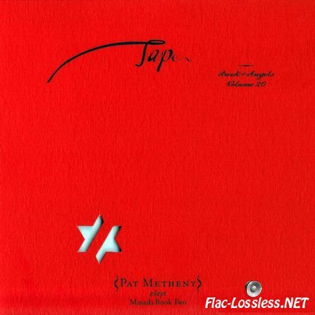 Pat Metheny - Tap: Book Of Angels Vol. 20 (2013) FLAC (tracks + .cue)