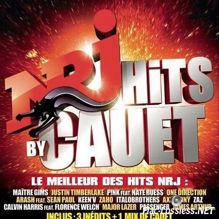 VA - NRJ Hits by Cauet (2013) FLAC (tracks + .cue)