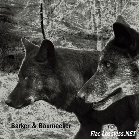 Barker & Baumecker - Transsektoral (2012) FLAC (tracks + .cue)