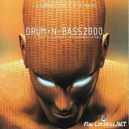 VA - Drum [N] Bass 2000 (2000) FLAC (tracks + .cue)