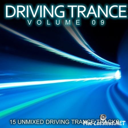 VA - Driving Trance Volume 09 (2011) FLAC