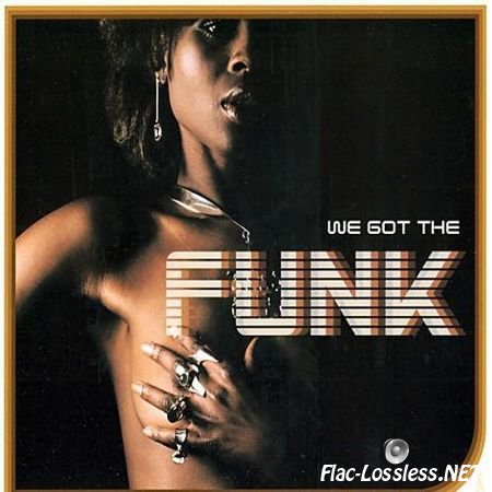 VA - We Got The Funk (2002) FLAC (tracks + .cue)