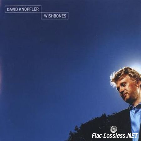 David Knopfler - Wishbones (2001) FLAC (image + .cue)