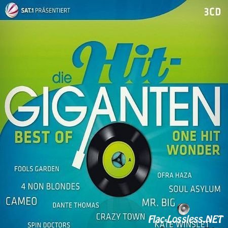 VA - Die Hit Giganten Best of One Hit Wonder (2013) FLAC (tracks + .cue)