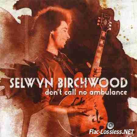 Selwyn Birchwood - Don't Call No Ambulance (2014) FLAC (tracks + .cue)