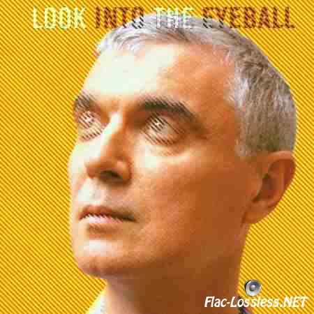 David Byrne - Look Into The Eyeball (2001) FLAC (tracks+.cue)