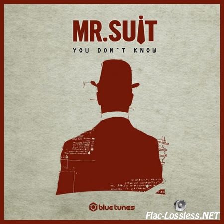 Mr.Suit - You Don't Know Single (2015) FLAC