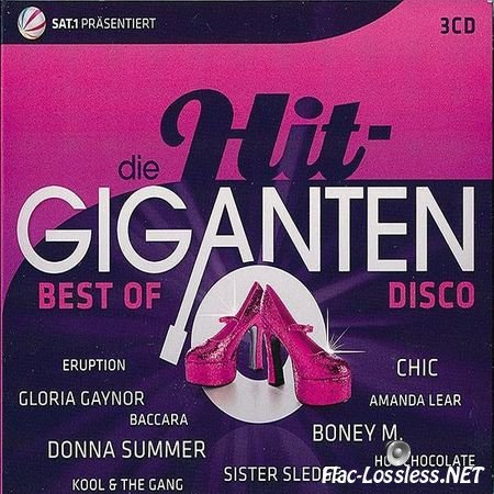 VA - Die Hit-Giganten: Best of Disco (2013) FLAC (image + .cue)