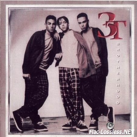 3T - Brotherhood (1995) FLAC (tracks + .cue)