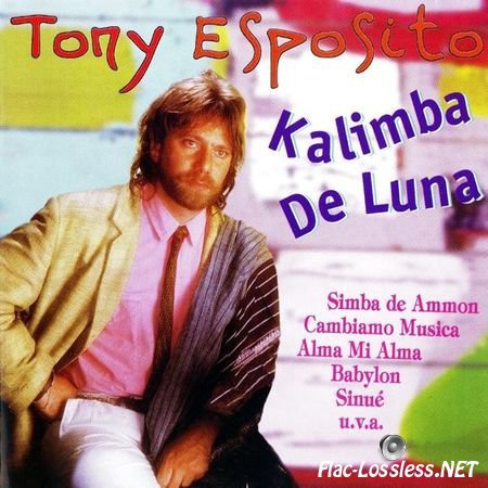 Tony Esposito - Kalimba De Luna (1999) FLAC (tracks + .cue)