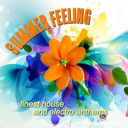VA - Summer Feeling (2015) FLAC (tracks)