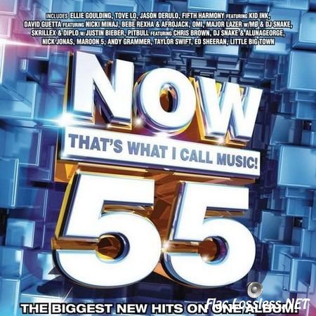 VA - Now That's What I Call Music! Vol.55 (2015) FLAC (tracks + .cue)