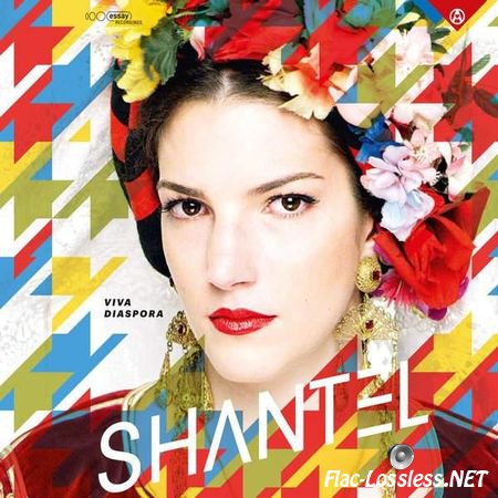 Shantel - Viva Diaspora (2015) FLAC (tracks)