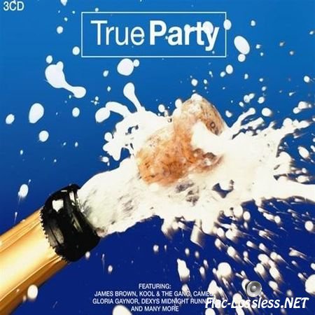 VA - True Party (2006) FLAC (track + .cue)
