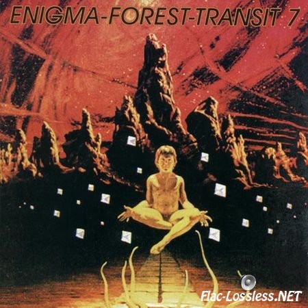 VA - Enigma - Forest - Transit 7 (1998) FLAC (tracks + .cue)