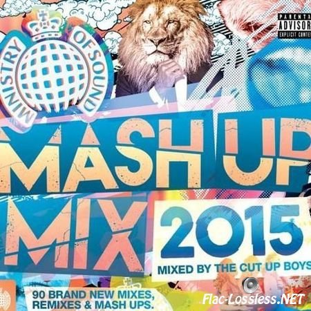 VA - Ministry Of Sound: Mash Up Mix 2015 (2015) FLAC (tracks + .cue)