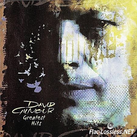 David Gilmour - Greatest Hits (2006) FLAC (image + .cue)
