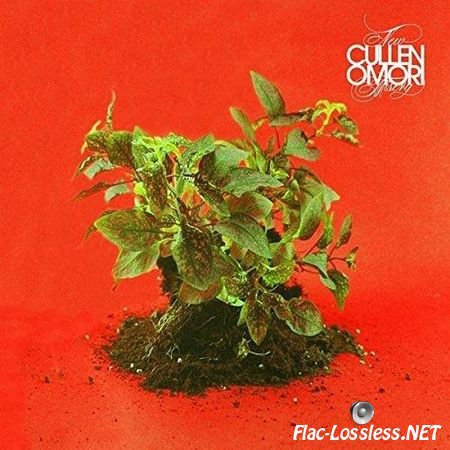 Cullen Omori - New Misery (2016) FLAC (tracks + .cue)