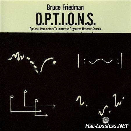 Bruce Friedman - O.P.T.I.O.N.S. (2008) FLAC (tracks+.cue)